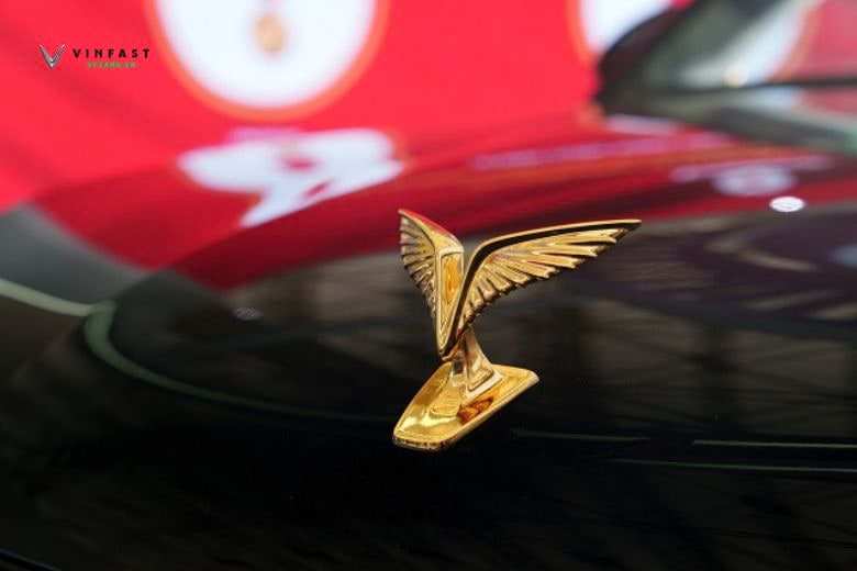 VinFast Lạc Hồng: Dấu ấn tự hào của thương hiệu Việt tại Đại lễ Quốc khánh 5 200
